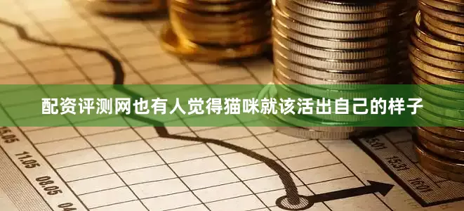 配资评测网也有人觉得猫咪就该活出自己的样子