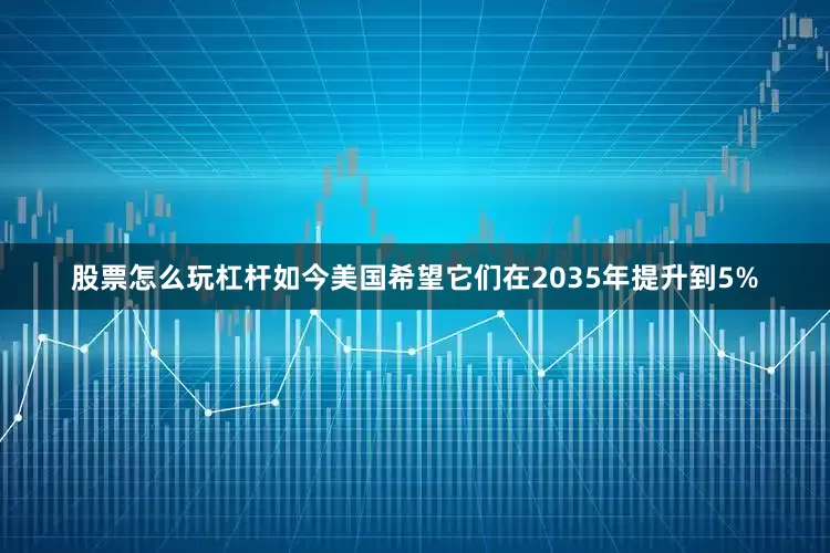 股票怎么玩杠杆如今美国希望它们在2035年提升到5%