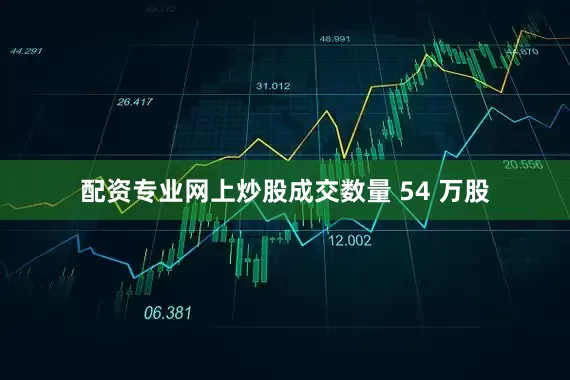 配资专业网上炒股成交数量 54 万股