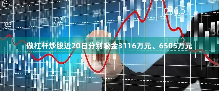 做杠杆炒股近20日分别吸金3116万元、6505万元
